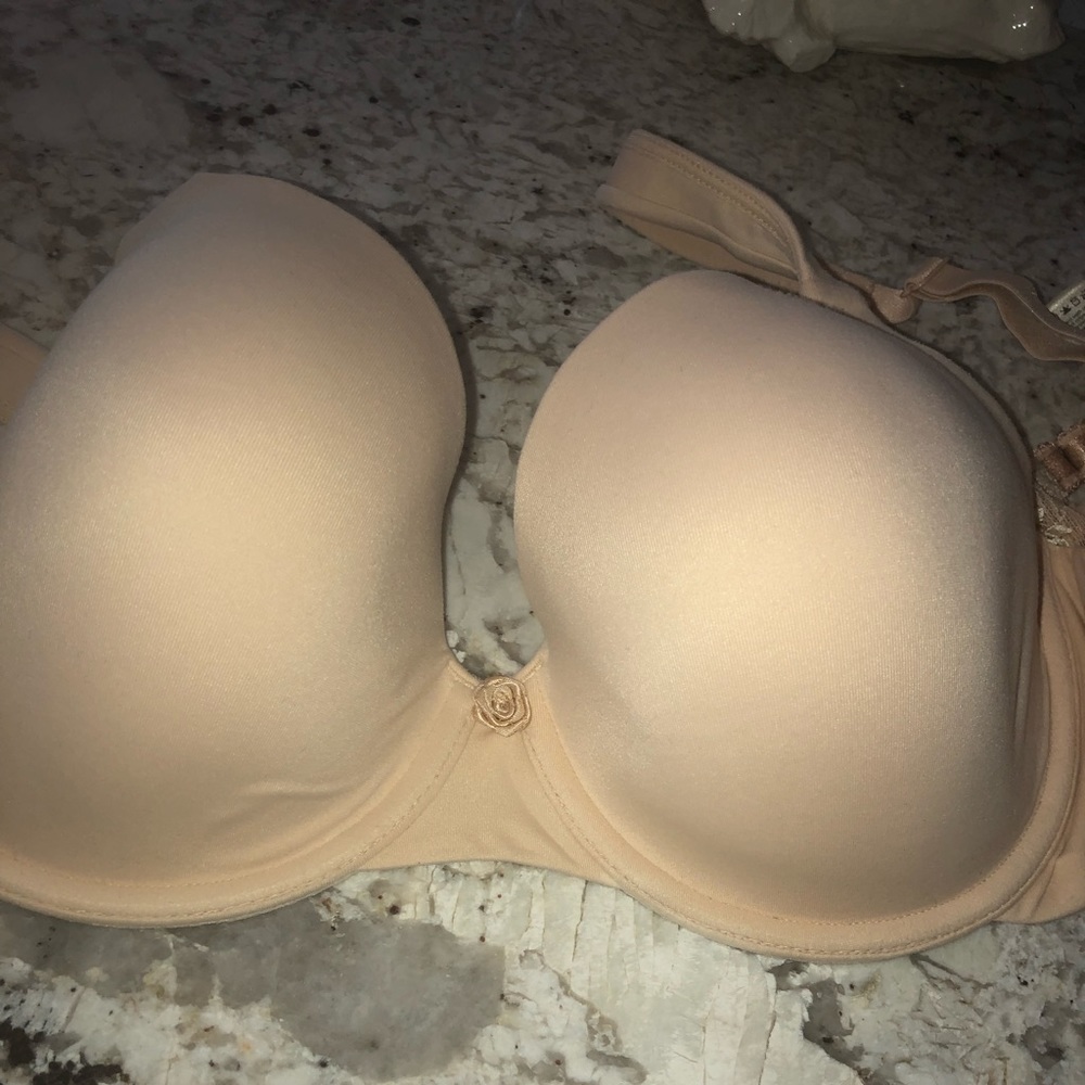 Dominique t shirt bra size 34dd